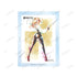 『#コンパス 戦闘摂理解析システム』ヴィオレッタノワール Ani-Art aqua label A6アクリルパネル
